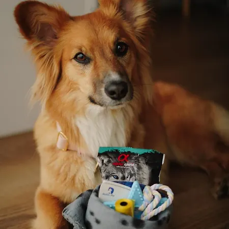 Bådhotel Ht Houseboats - Luksusowe Na Wodzie - Sauna, Jacuzzi Mielno (Koszalin)